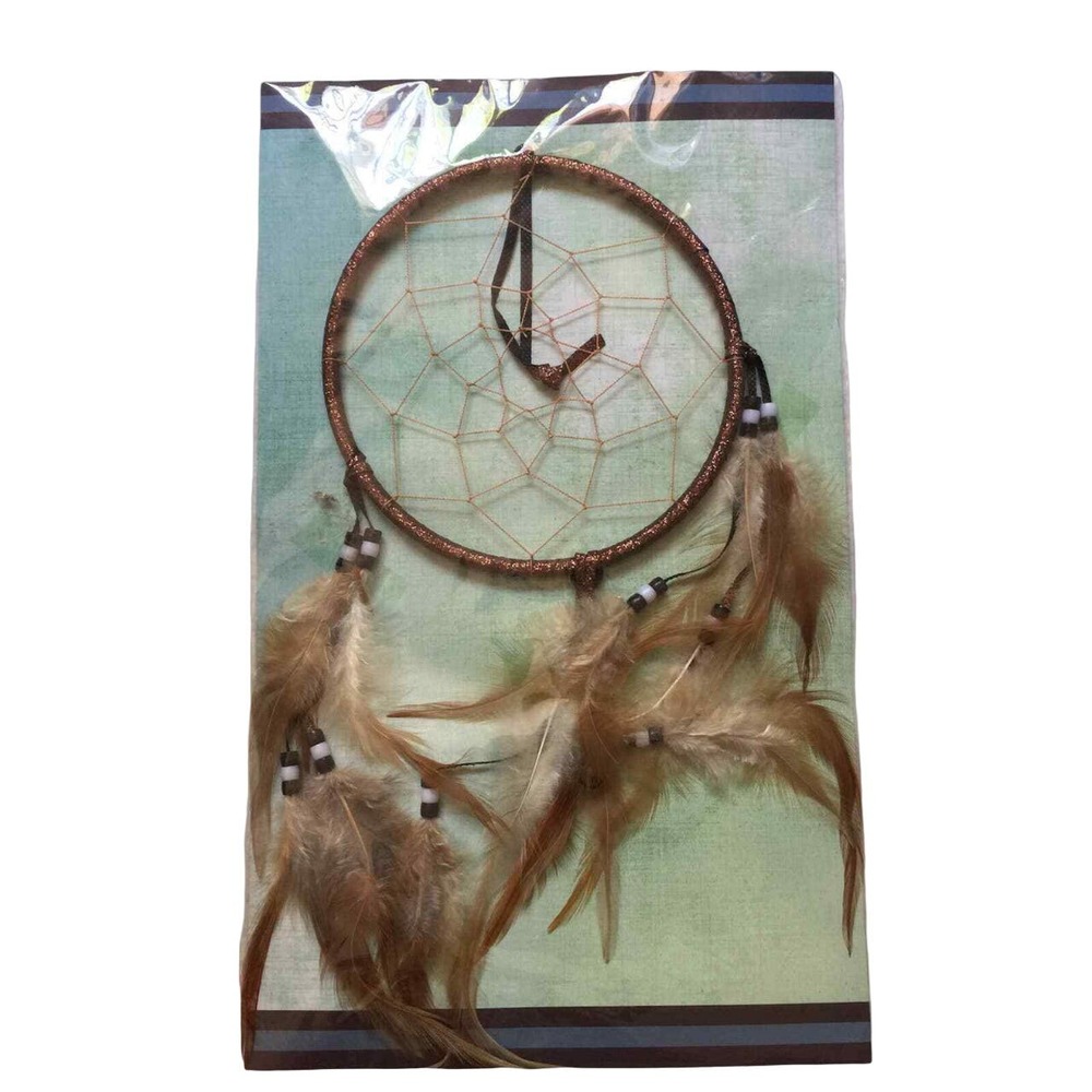 Legend of the Dreamcatcher St. Joseph's Indian School Lakota Sioux Sealed 13"
